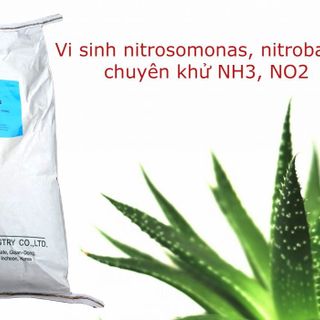 Men vi sinh nitrosomonas, nitrobater giảm khí NH3, NO2 sạch ao nuôi giá sỉ