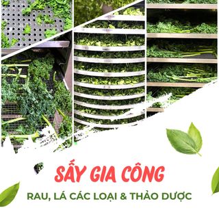 MÁY SẤY LẠNH 15 KHAY XOAY ĐẢO KHAY