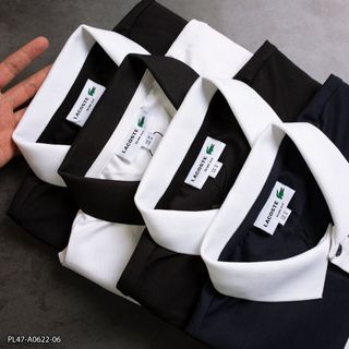 Áo Polo Nam, áo cổ trụ nam chất Cá sấu cotton 4 chiều size từ 50kg - 88kg