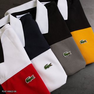 Áo Polo Nam, áo cổ trụ nam chất Cá sấu cotton 4 chiều size từ 50kg - 88kg