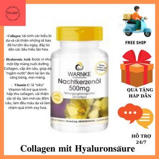 Hoa Anh Thảo Đức - Nachtkerzenöl 500mg