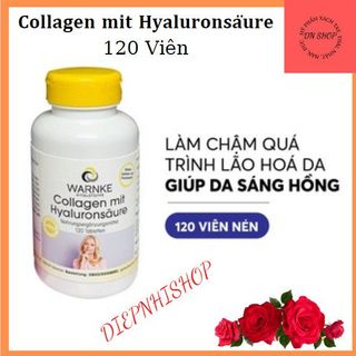 Hoa Anh Thảo Đức - Nachtkerzenöl 500mg