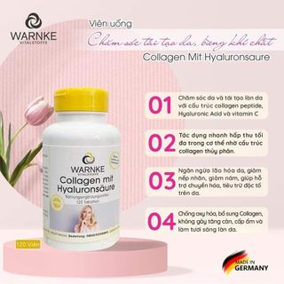 Hoa Anh Thảo Đức - Nachtkerzenöl 500mg