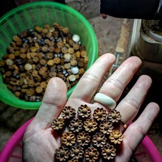 Chamr hoa sen mix vòng trầm hương giá rẻ các loại