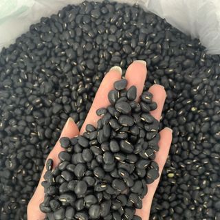 ĐẬU ĐEN XANH LÒNG TO