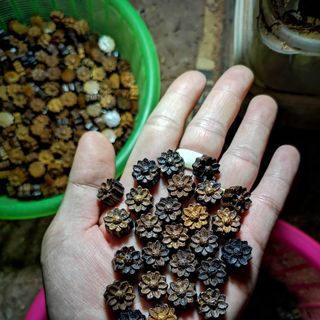 Chamr hoa sen mix vòng trầm hương giá rẻ các loại