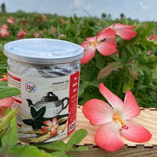 Trà nhân sâm Hoàng Ngọc - 1 triệu uống trọn đời