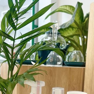 Serum dưỡng trắng phục hồi Hoa Anh Đào dùng cho da Nám Tàn Nhang