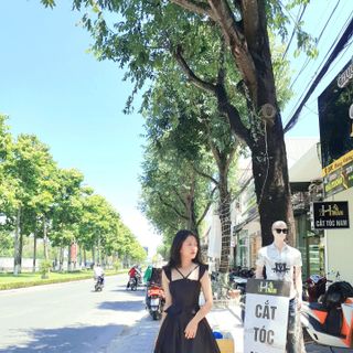 Đầm xòe chéo ngực phối eo cao cấp D3