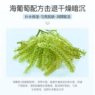 Mặt nạ RONG BIỂN Hydration Mask Dưỡng ẩm ,cấp ẩm cân bằng cho da , giúp da khoẻ chống lão hoá ( 1hop/10 mieng)