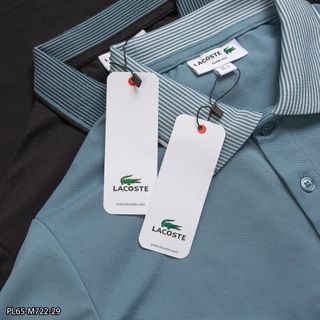 Áo thun cổ trụ nam, áo thun có cổ chất thun Cá sấu cotton 4 chiều size từ 55kg - 88kg