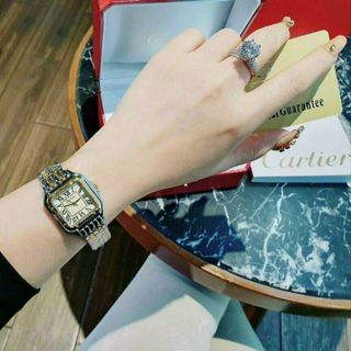 ĐỒNG HỒ CARRTIER TRUNG CẤP HOT