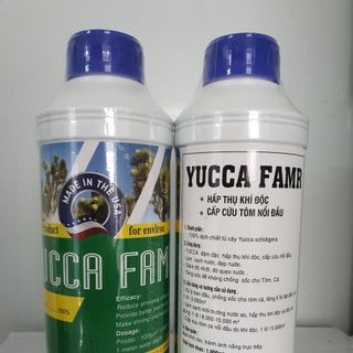 YUCCA FARM