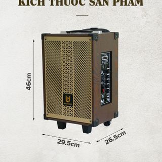 Loa kéo BASS 2 tấc Best Sound BD-9080