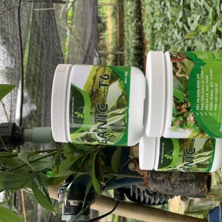 Trị nấm Ganic T6