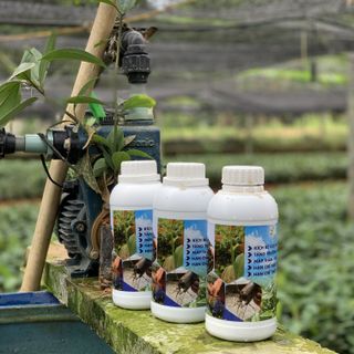 Phân bón kích thích Ganic Quế