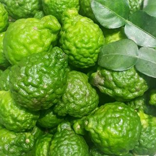 Trái Chúc Tươi (Trái Chanh Thái) Đặc Sản Vùng Bảy Núi An Giang 1KG