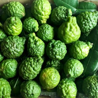 Trái Chúc Tươi (Trái Chanh Thái) Đặc Sản Vùng Bảy Núi An Giang 1KG