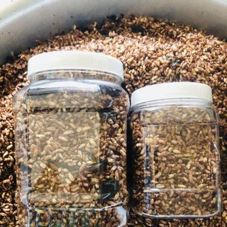 Gạo lứt sấy rong biển hủ 500g
