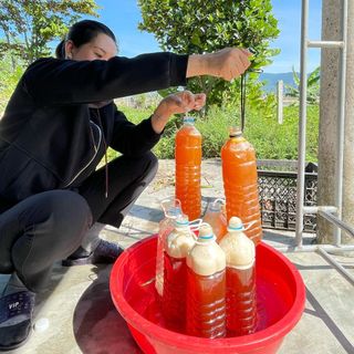 Mật ong rừng nguyên chất