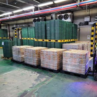 TÌM ĐẠI LÝ/ NPP PHÔ MAI HỮU CƠ TÁCH MUỐI NAMYANG DEVINCH 2022