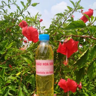 Tìm ctv bán Tinh dầu