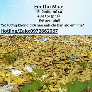 Lê Hiếu... Thu mua phom củ .....đế tpr......pvc....phế ...số lượng ko giới hạn anh chị kết bạn