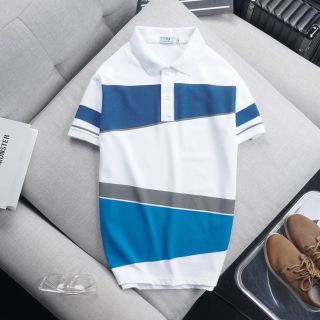 ÁO THUN CÁ SẤU 3 MÀU CS 403