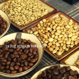 Cà phê Culi rang mộc loại 1 chế biến ướt