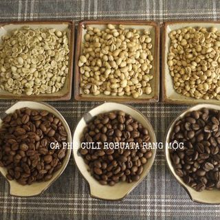 Cà phê Culi rang mộc loại 1 chế biến ướt