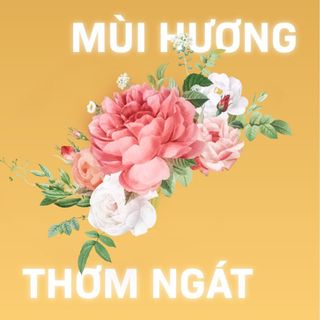 Xịt Dưỡng Tóc Tsubaki Premium Repair Hair Water Spray cấp ẩm, phục hồi hư tổn, ngăn rụng tóc 220ml