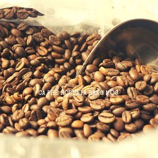 Cà phê robusta loại 1 tiêu chuẩn xuất khẩu