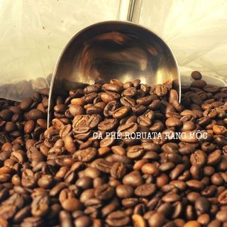 Cà phê robusta loại 1 tiêu chuẩn xuất khẩu