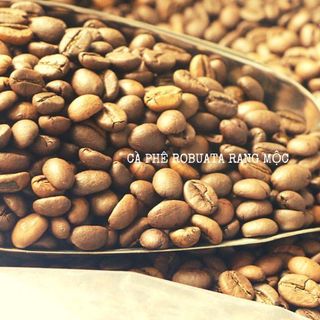 Cà phê robusta loại 1 tiêu chuẩn xuất khẩu