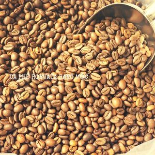 Cà phê robusta loại 1 tiêu chuẩn xuất khẩu