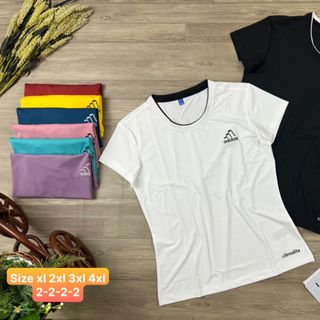Đồ Thể Thao Áo Thun Big Size Nữ Thể Thao Siêu Đẹp Giá Sỉ, Hot Đẹp