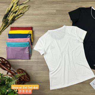 Đồ Thể Thao Áo Thun Big Size Nữ Thể Thao Siêu Đẹp Giá Sỉ, Hot Đẹp