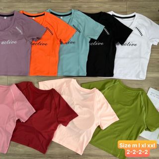 Đồ Thể Thao Áo Thun Croptop Nữ Thể Thao Siêu Đẹp Giá Sỉ, Hot Đẹp Hàng