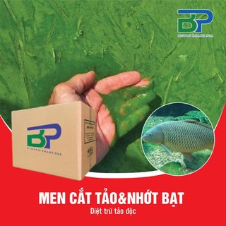 Men vi sinh xử lý đáy ao tôm Biopro Khánh Hòa