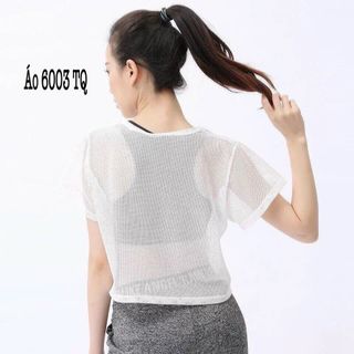 Đồ Thể Thao Áo Thun Croptop Lưới Thể Thao Siêu Đẹp Giá Sỉ, Hàng Hot