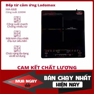 Bếp điện từ cảm ứng Ladomax Ha-668 (1tx6)