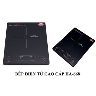 Bếp điện từ cảm ứng Ladomax Ha-668 (1tx6)