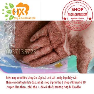 hạt giống cây tràm úc - 1000 gram