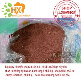 hạt giống cây tràm úc - 1000 gram