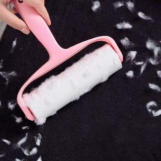 Cây Lăn Bụi Quần Áo Loại 10Cm