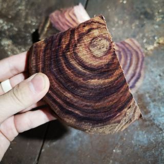 Phôi gỗ sưa đỏ quý hiếm