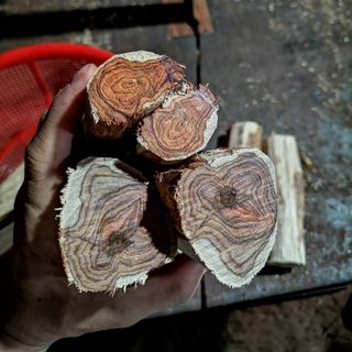 Phôi gỗ sưa đỏ quý hiếm