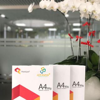GIẤY PHOTOCOPY A4 - THƯƠNG HIỆU SAMSUNG