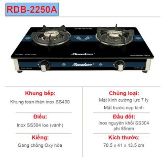 Bếp gas kính đôi Raiden RDB-2250A
