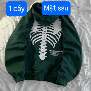 Áo hoodie nữ 01